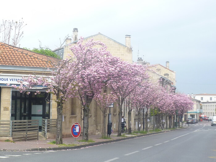 Je Suis Passé Dans La Pièce D'à Côté Saint Augustin